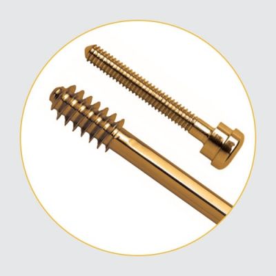 Lag Screw