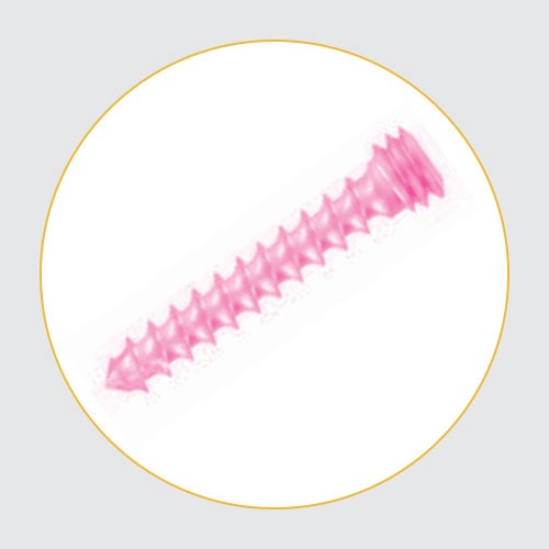 BMR Reconstruction Screws