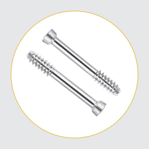 Conical Head Screws