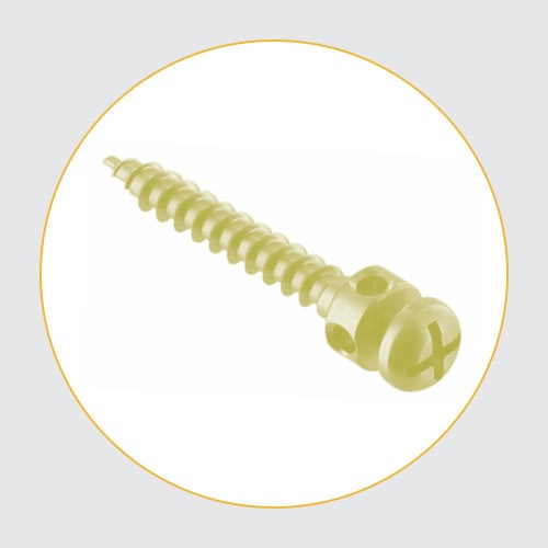 Screw