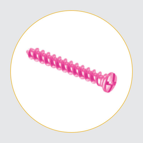 Screw