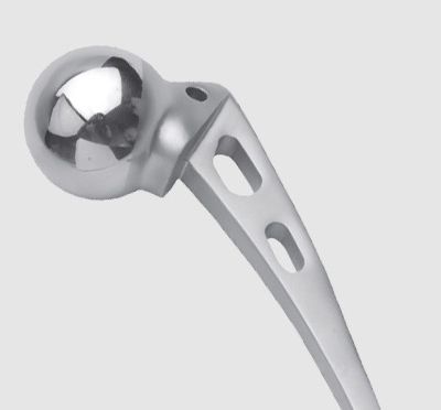 hip-prosthesis