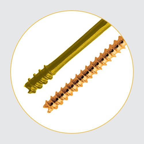 Screw