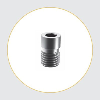 End Cap Retrograde Femoral Nail