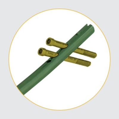 Perfect Femoral (Long)