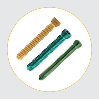 Safety Lock Screw