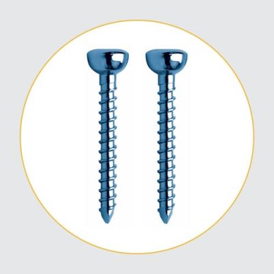 Locking Bolts
