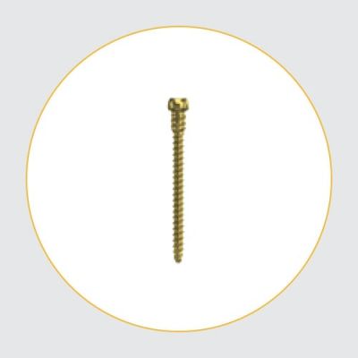 Screws