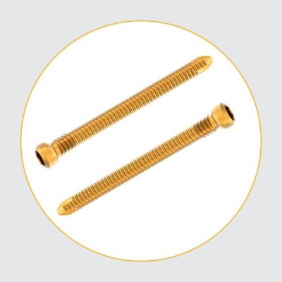 Nexgen Locking Screw