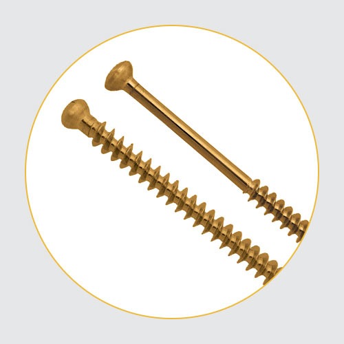 Screws / Washer