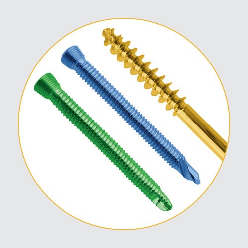 Screws