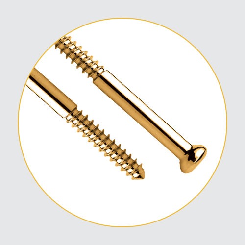 Screws