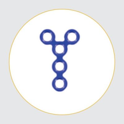 Y-Plate