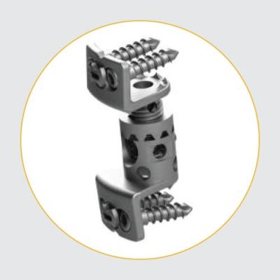 Cervical Screw-Cage System