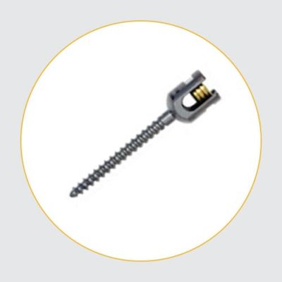 Pedicle Screw System