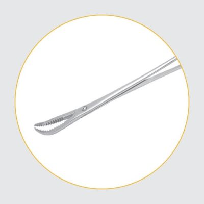 Veterinary Forceps