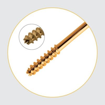 Cannulated Cancellous Screws