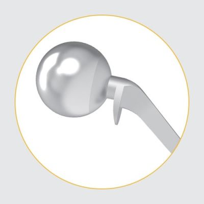 L Hip Prosthesis