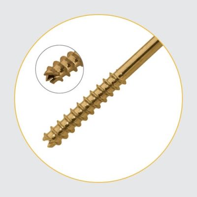 Cancellous Cannulated Screws