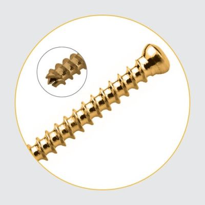 Cancellous Cannulated Screws 7.3mm