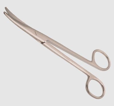 Mayo Scissors